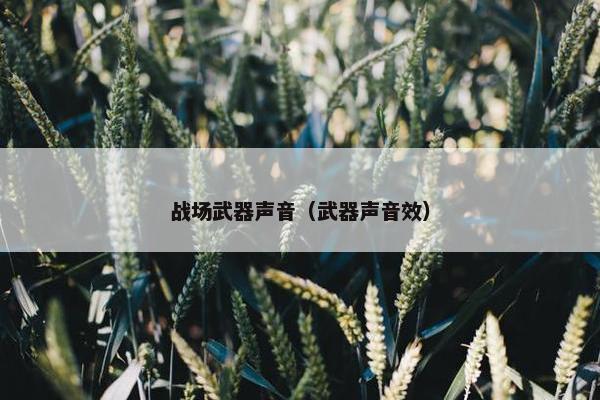 战场武器声音（武器声音效）
