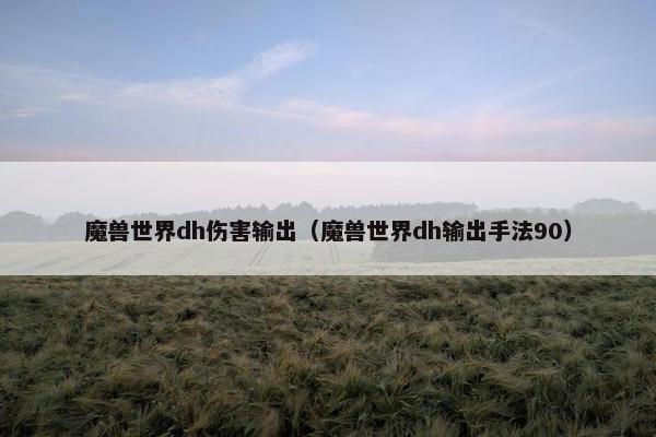 魔兽世界dh伤害输出（魔兽世界dh输出手法90）