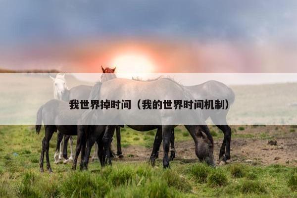 我世界掉时间（我的世界时间机制）