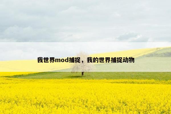 我世界mod捕捉，我的世界捕捉动物