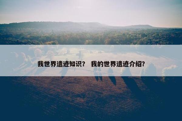 我世界遗迹知识？ 我的世界遗迹介绍？