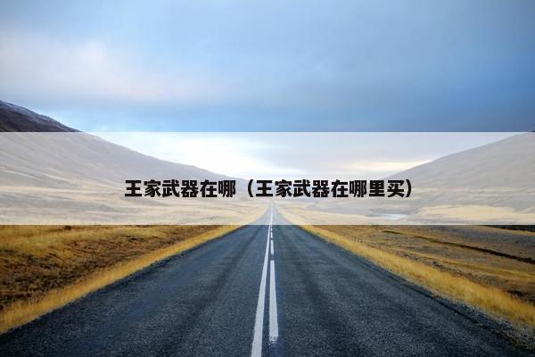 王家武器在哪（王家武器在哪里买）