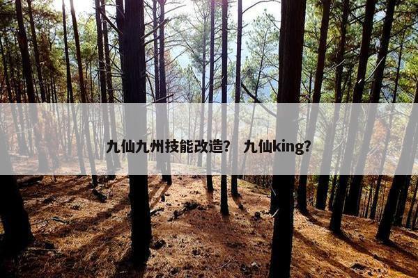 九仙九州技能改造？ 九仙king？