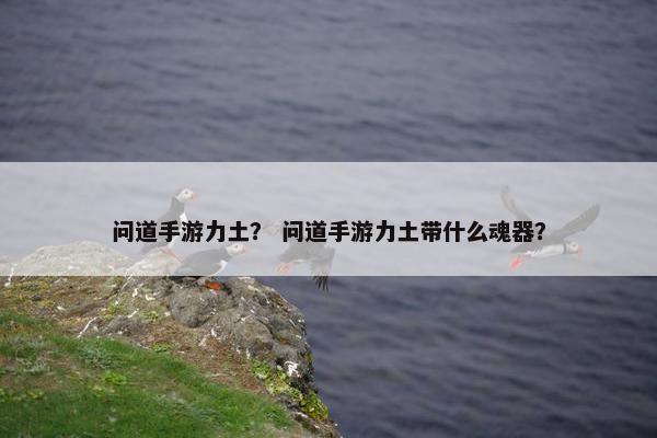 问道手游力土？ 问道手游力土带什么魂器？