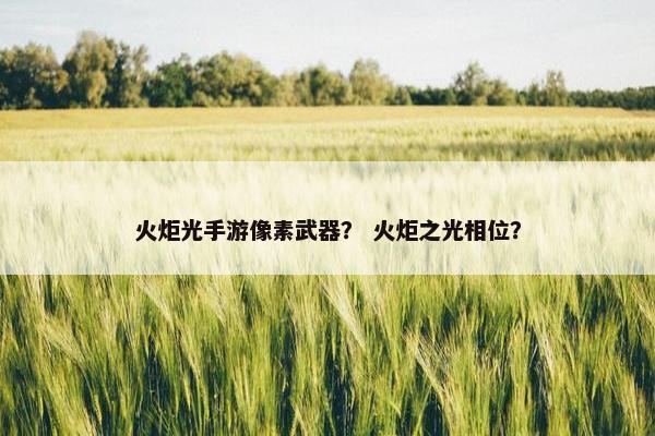 火炬光手游像素武器？ 火炬之光相位？