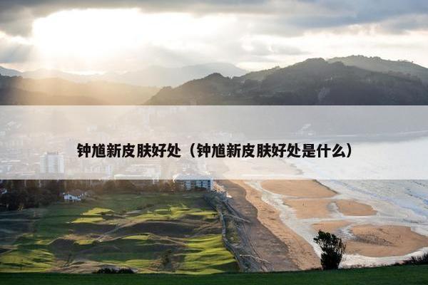 钟馗新皮肤好处（钟馗新皮肤好处是什么）