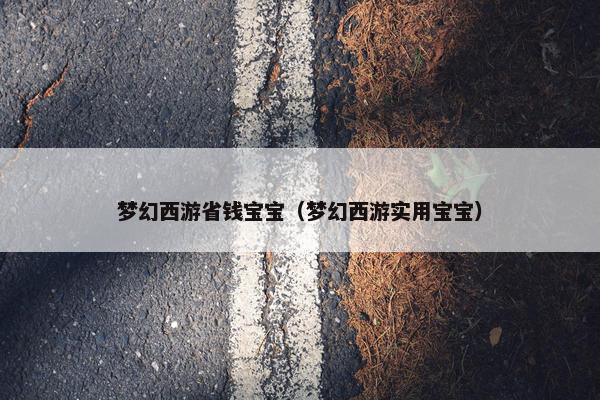 梦幻西游省钱宝宝（梦幻西游实用宝宝）