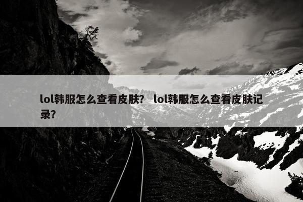 lol韩服怎么查看皮肤？ lol韩服怎么查看皮肤记录？