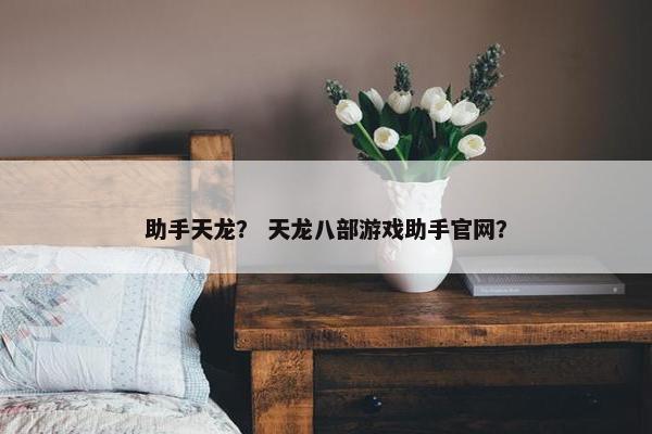 助手天龙？ 天龙八部游戏助手官网？