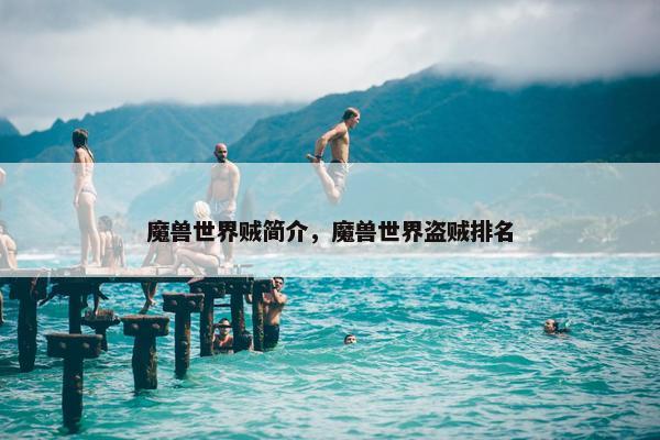 魔兽世界贼简介，魔兽世界盗贼排名