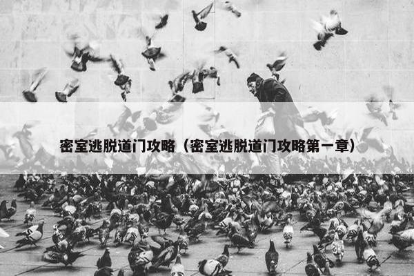 密室逃脱道门攻略（密室逃脱道门攻略第一章）