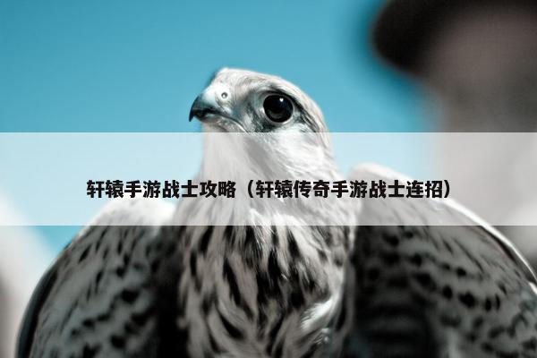 轩辕手游战士攻略（轩辕传奇手游战士连招）