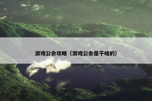 游戏公会攻略（游戏公会是干啥的）