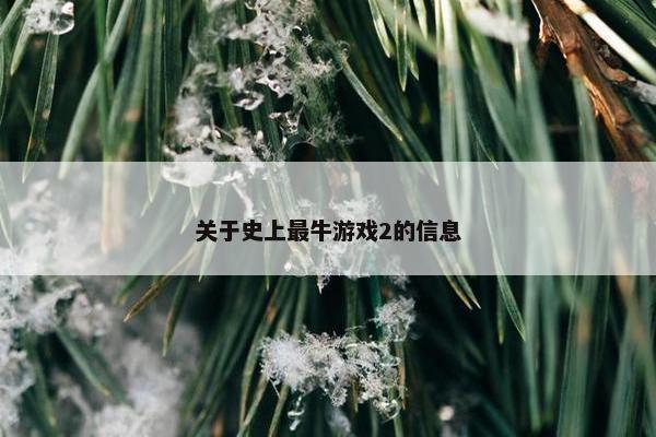 关于史上最牛游戏2的信息
