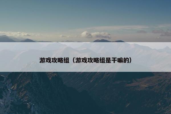 游戏攻略组（游戏攻略组是干嘛的）