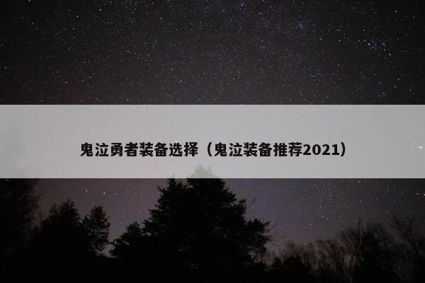 鬼泣勇者装备选择（鬼泣装备推荐2021）