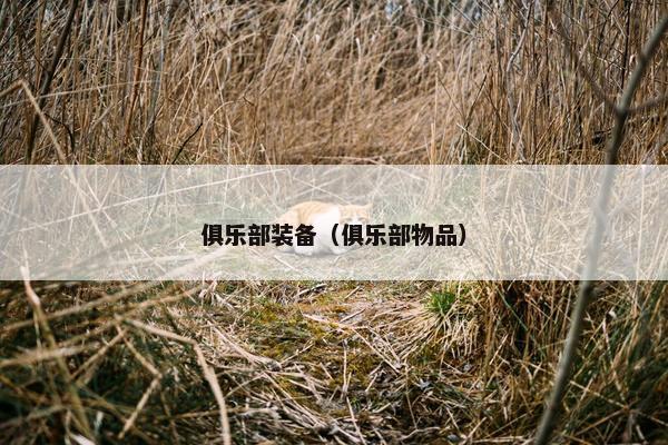 俱乐部装备（俱乐部物品）