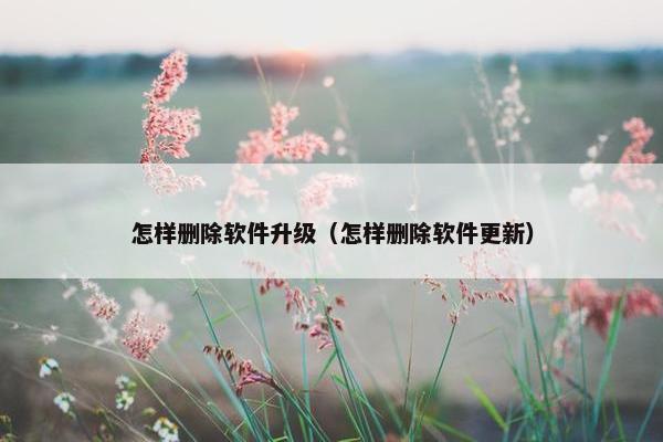 怎样删除软件升级（怎样删除软件更新）