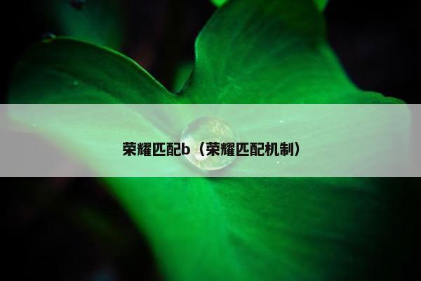 荣耀匹配b（荣耀匹配机制）