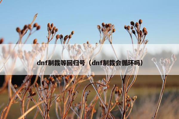 dnf制裁等回归号（dnf制裁会循环吗）