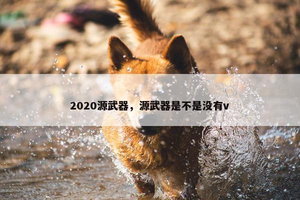2020源武器，源武器是不是没有v