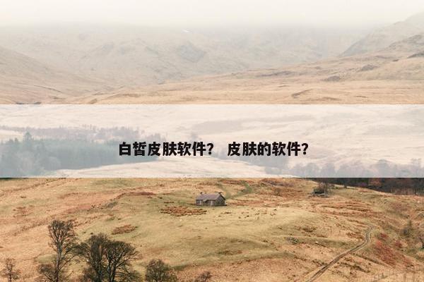 白皙皮肤软件？ 皮肤的软件？