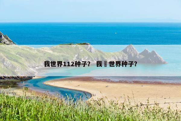 我世界112种子？ 我旳世界种子？