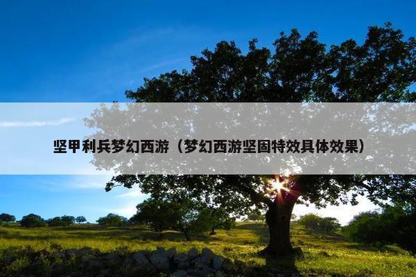 坚甲利兵梦幻西游(梦幻西游坚固特效具体效果) 坚甲利兵梦幻西游(梦幻西游坚固特效具体效果)