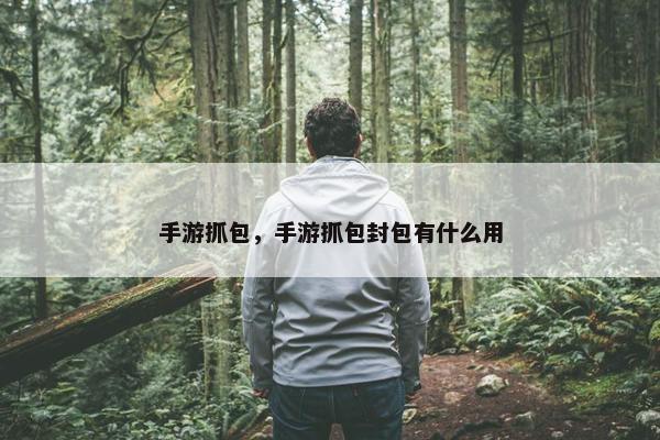 手游抓包，手游抓包封包有什么用