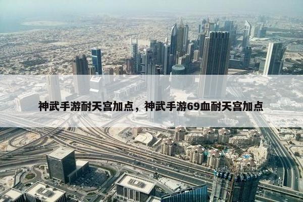 神武手游耐天宫加点，神武手游69血耐天宫加点