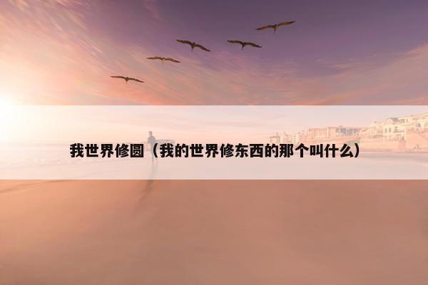 我世界修圆（我的世界修东西的那个叫什么）