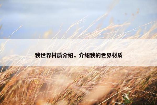 我世界材质介绍，介绍我的世界材质