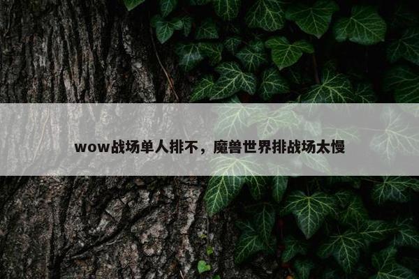 wow战场单人排不，魔兽世界排战场太慢